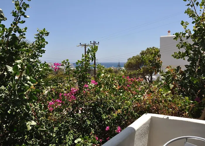 Vicky 2* Piso Livadi